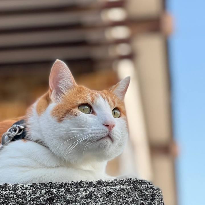 12888544 a547 451a bdd3 41aa2319efba 1656150042962