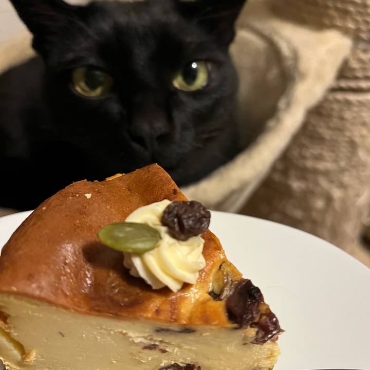 1288860a b642 48ea 85d3 843545ec000f 1744532251998