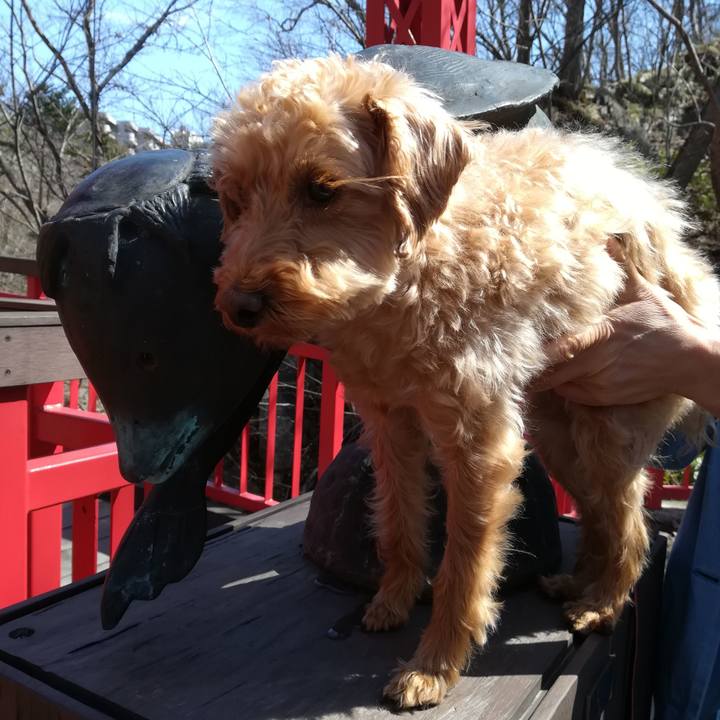 1288a2c5 9060 4d60 b8a8 8bd7fad06c0c 1556423574634