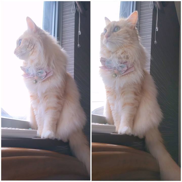 1288a592 96f4 4d12 913c c9530045b9a5 1719445060671