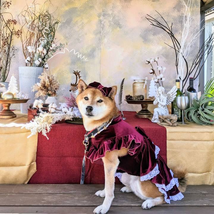 1288f27f 08e2 4ce5 a18d 338a98ff3cb0 1702011769173