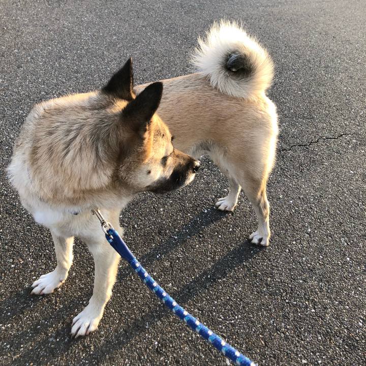 128917d3 e417 4127 b501 d9a8678121c3 1573212837282