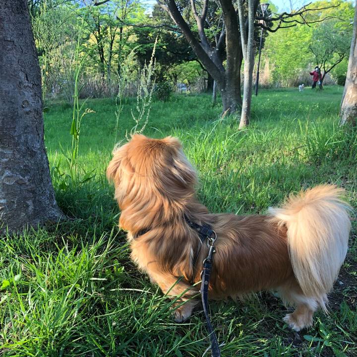 12891d22 5886 4fd5 bf06 f18a97a33bd1 1524175738214