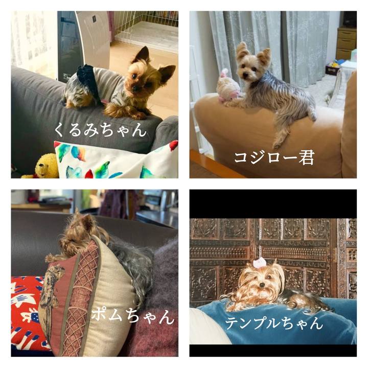 12893a35 5eca 40f4 8789 9d1d17b424d2 1643380778843