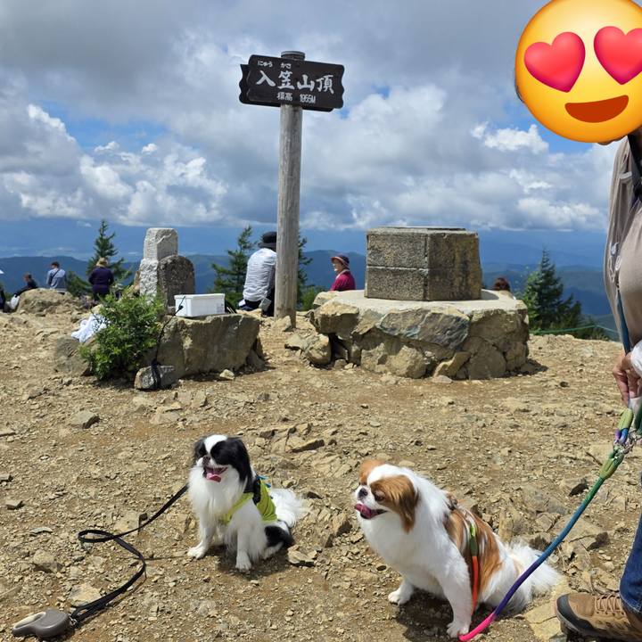 1289414a e01e 4b3c a996 9353c8d87ee8 1755232806745