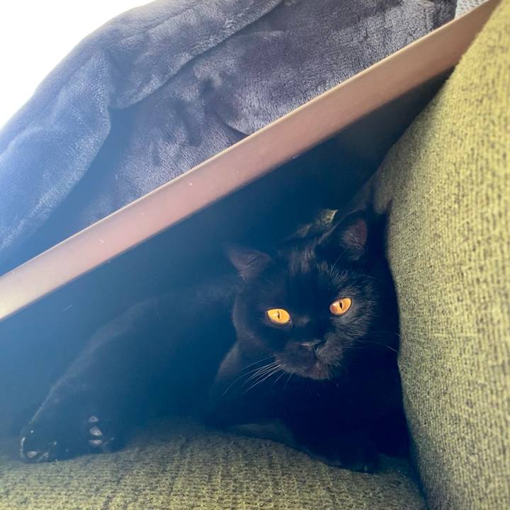 12897bd9 4e21 460c 9ede 5e140181d960 1642743678381