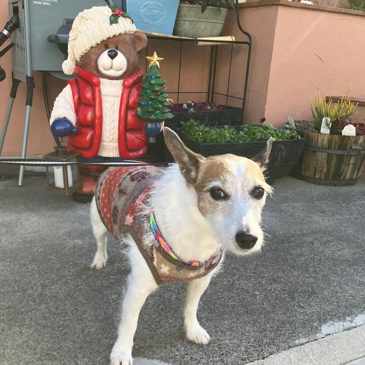 128984ea dbfd 4111 aa9d 534b70020350 1702596022381