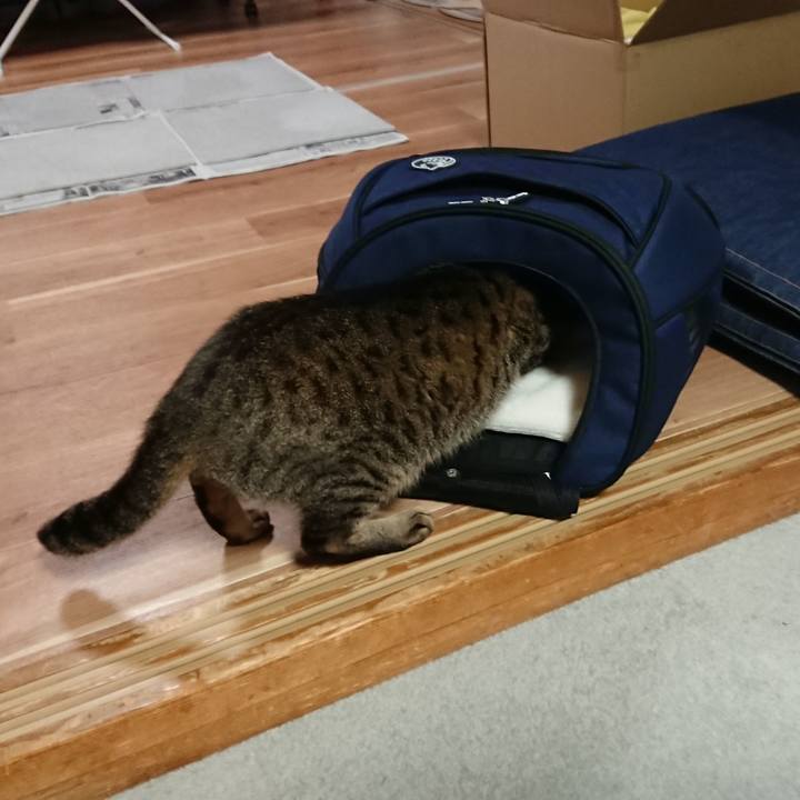 1289b026 eddf 4a12 a8ec 26bbe1e69d5f 1518872754707