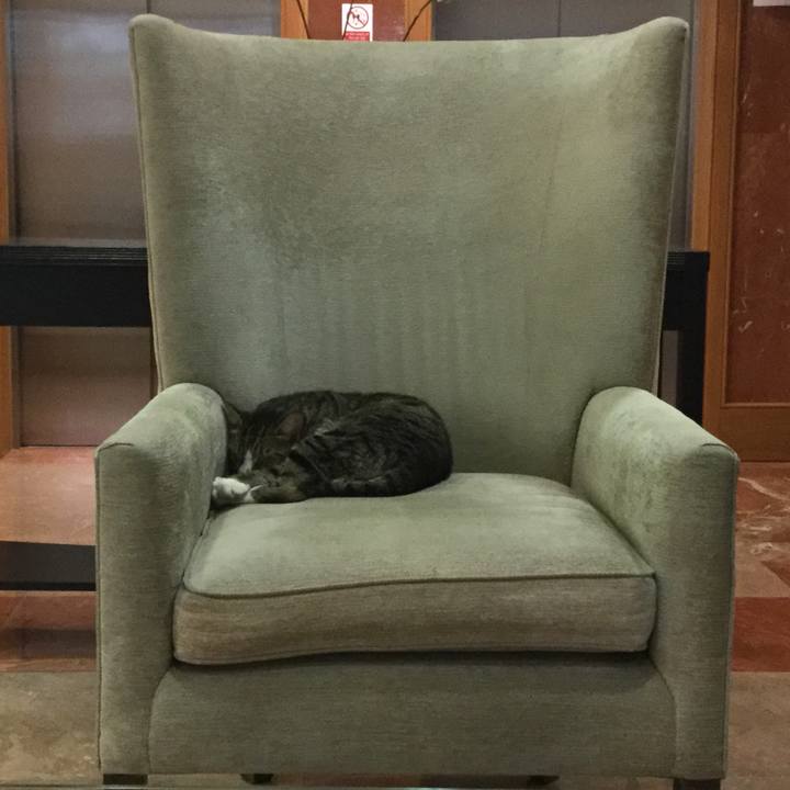 1289cae7 d774 40f4 95a5 b345d8a4a8b9 1510520928498