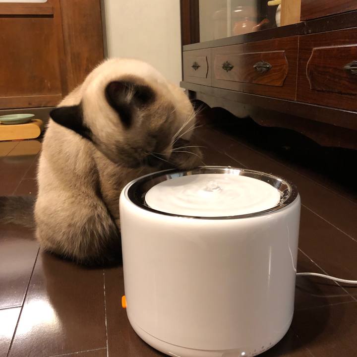 128a1347 a779 4c34 b4e4 7b286e8952b5 1602156411045