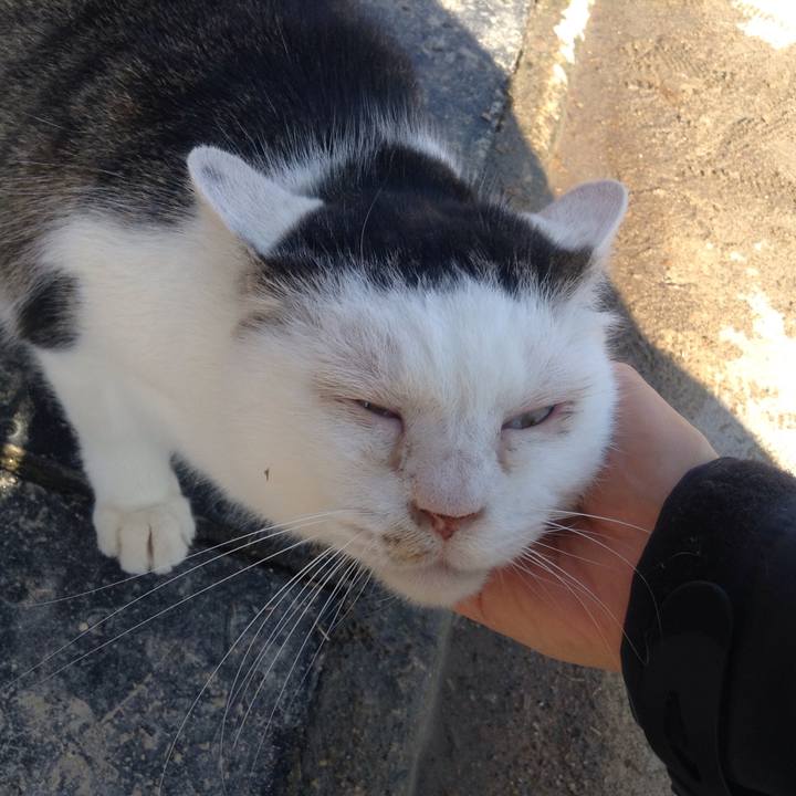 128a3cfd 8e6f 4dfe 89c6 1020849b25f6 1545557616163