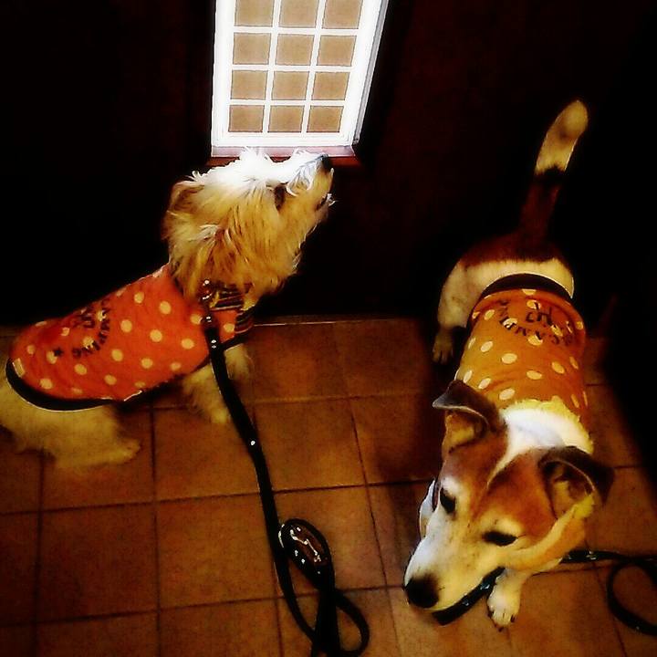 128a6a6d be89 4173 a676 3e63b994a92f 1513481933040