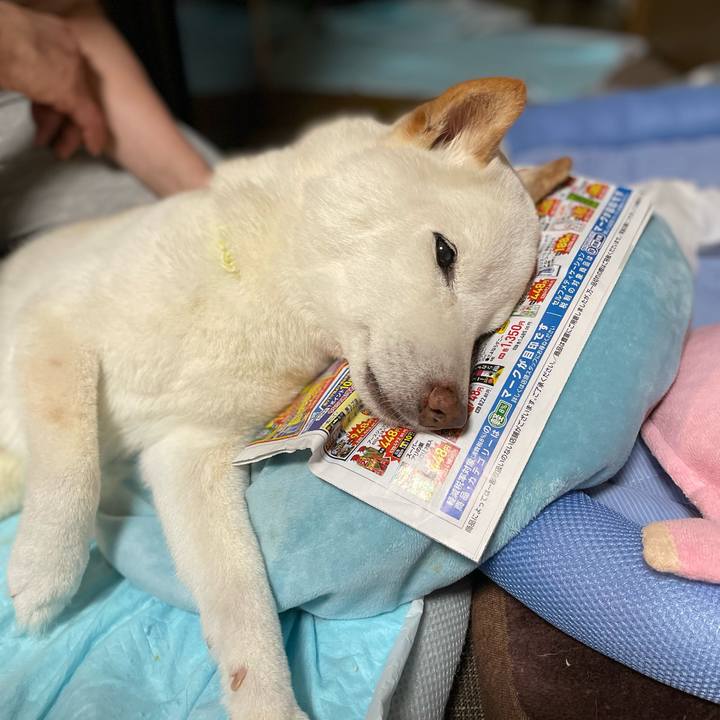 128a6a99 1c3a 45e5 aa8f 240052ed4abf 1652356495241