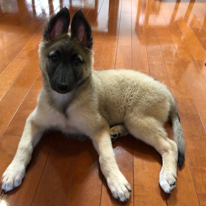 128a8524 1025 466e 8237 e759b3c9257b 1529836160591