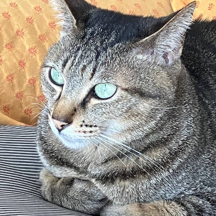 128aaf96 55e0 4b9c a255 d260ac5e76ee 1772577845939