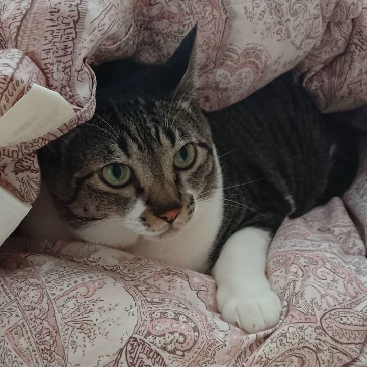 128ad082 4a5a 44e3 b77e ae531bee628d 1539823465650