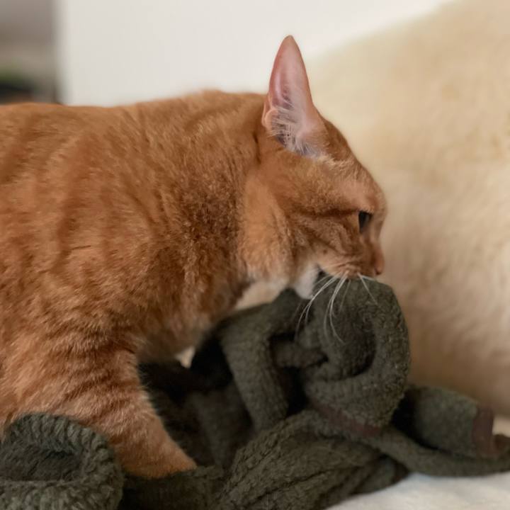 128aff6c 7a62 4563 8e15 12526102dd69 1648776145063