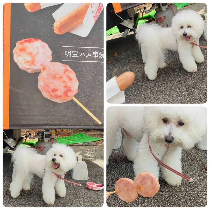 128b27c0 ec8d 4352 940c 77c957c928b7 1762576292179