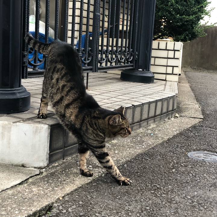 128b3f8a 260b 43e4 a5c1 7f38b23af4b5 1570465257348