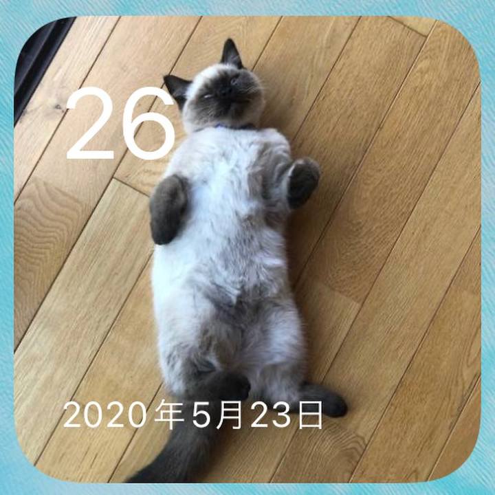 128b6dea b379 44d8 af00 34a31aa50b87 1653557246920