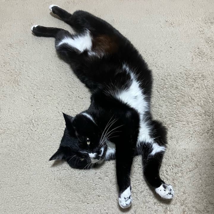 128b894a 80d9 4311 b0d5 5d2d528c59ca 1745557444324