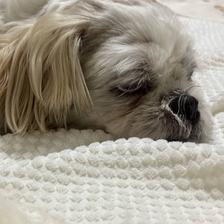 128bd765 9739 4214 a019 5db7945525e3 1751578823477