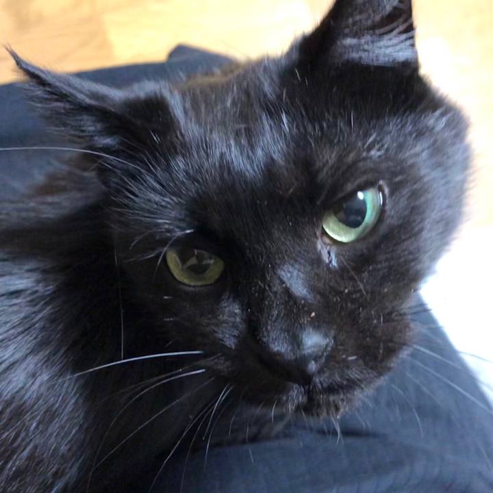 128bd9c3 54e8 4803 b17d 2bd07b19b661 1601385770249