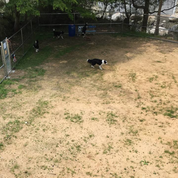 128bdfbb 2f52 443f 8743 11ca31d25229 1557055259918