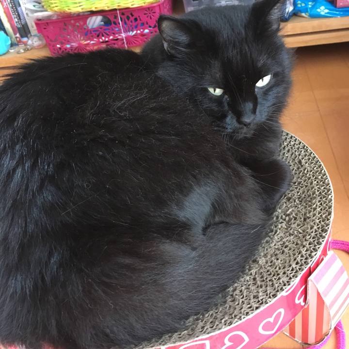 128c285d 6ece 40f4 8f91 858be497e8b7 1570595739063