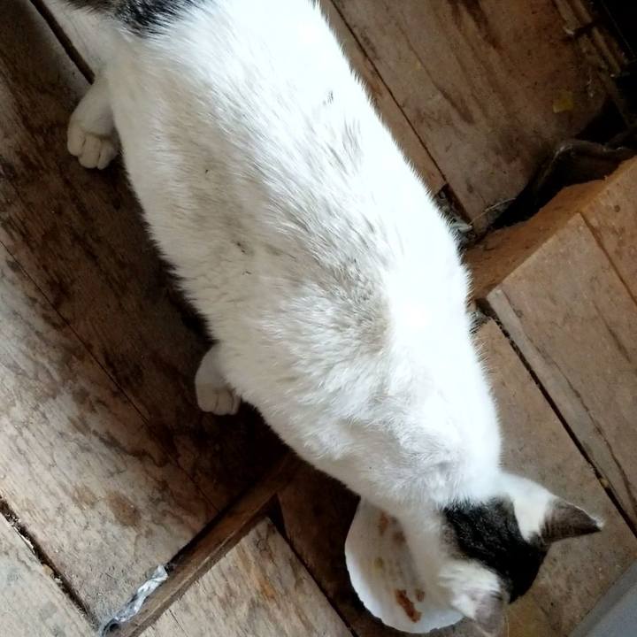 128c296d 217c 4478 8112 b2edb1c0ab8f 1685186978335