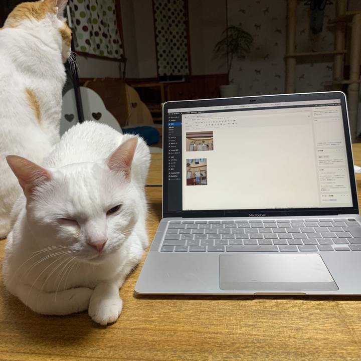 128c3c39 a931 4c52 a3af 935cd1b6fe42 1653396289769