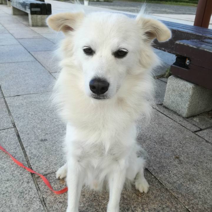 128c4579 6808 4db2 a75f b454b18125fd 1508718814522