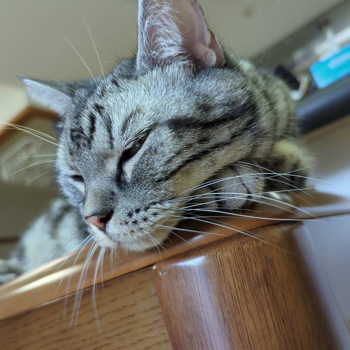 128c687c ff4f 4dbe aa71 fa8323b4c94b 1694234377176