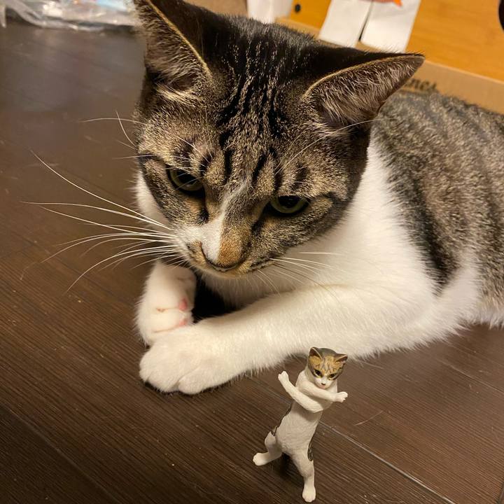 128c778e 7034 4955 a649 68eb83d1be81 1729340249321