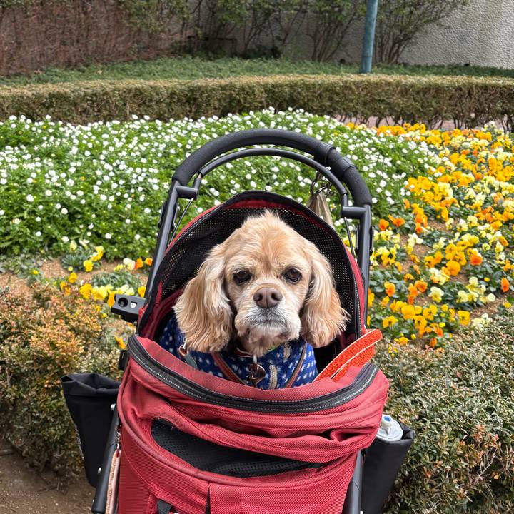 128cb7c6 a0e5 440d a0b6 692cf6d1d221 1769607950929