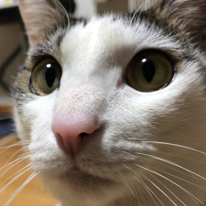 128cb97b b248 47ba 8acf 222e2c07f609 1613828900847