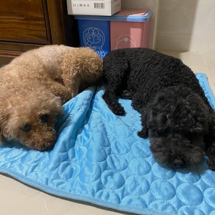 128cbc10 5947 421d 838f a1e79cc8ab45 1593751103798