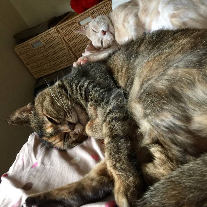 128cde18 5418 4262 ab5a c4694834d84e 1593811273320