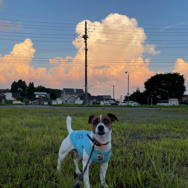 128cffdb f613 4a48 b411 88cbfa137164 1626606956285