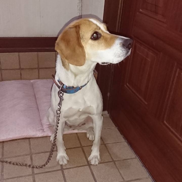 128d2671 74d5 467f bb96 44bf78f45e55 1560351415095