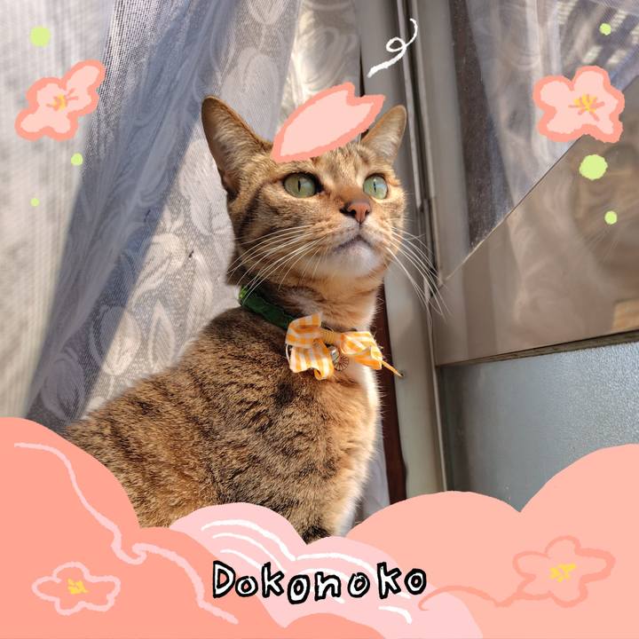 128d31c8 6086 416e 8d75 e3ef40ab6fc5 1775613441775