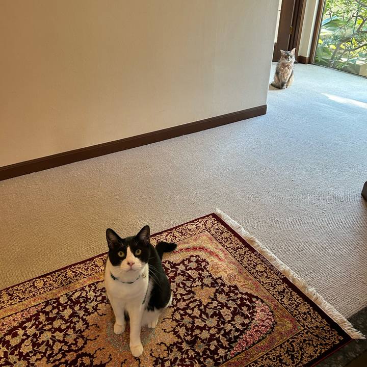 128d45f1 b04a 4f6a aafe 5523f31e4b76 1765982942790