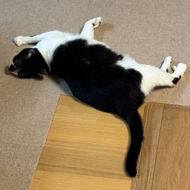 128d58ae f576 4551 935d 3e2a09118789 1773402685275