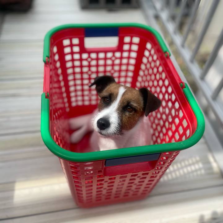 128d71ca 36a2 4043 9f5d 9bf98de2fb1a 1719033239149