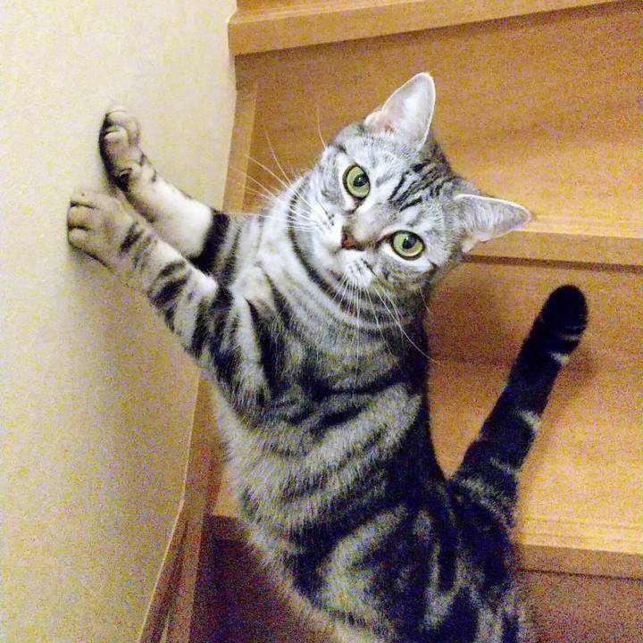 128da3bc 0368 49a0 881b 20802a456ea2 1648728559185