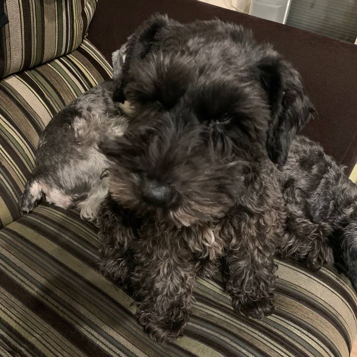 128da786 997b 4808 8e61 3555af2173ee 1604522548757