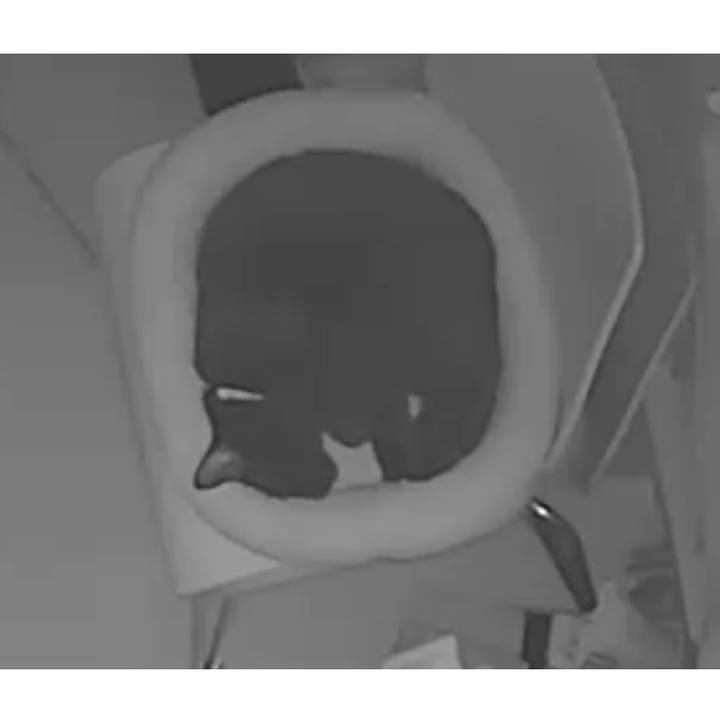 128db02a 9529 4e68 8079 22f209edc8fb 1559219930582