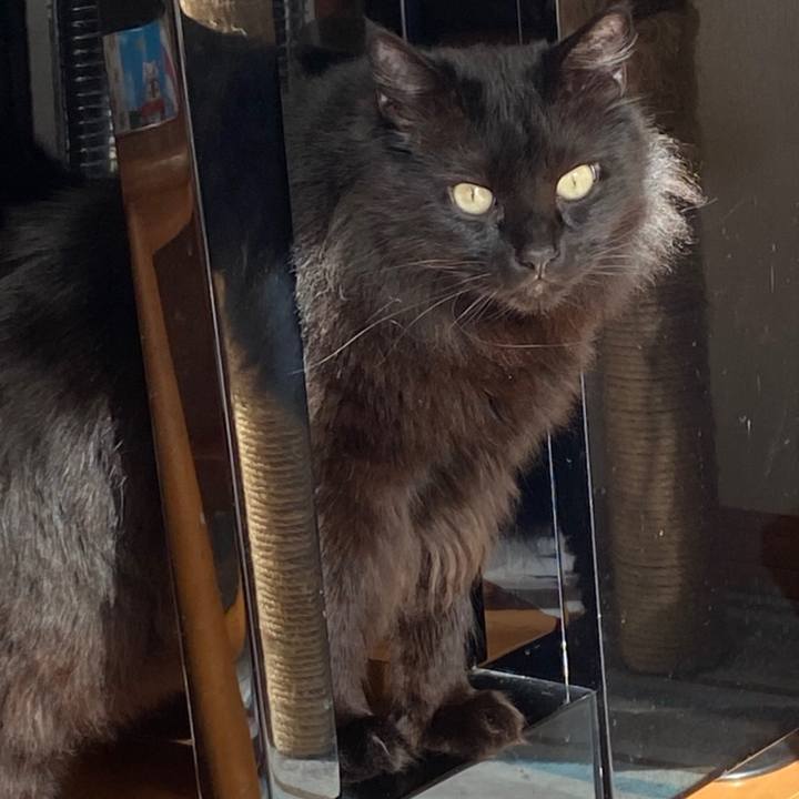 128dba71 db18 482e a4b8 a611a8fb529a 1584800319437