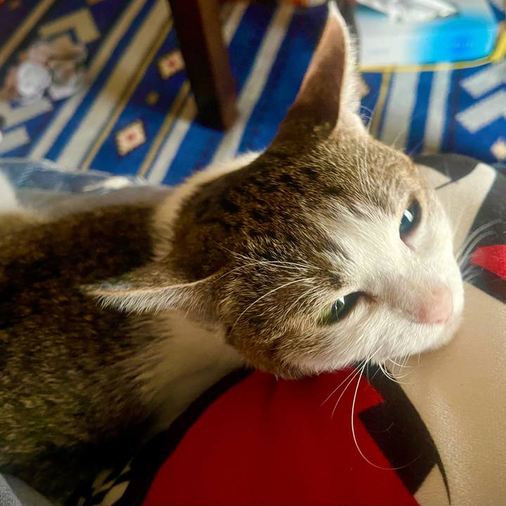 128dff73 4f69 4bf7 925f b05d3b5eab4f 1626944748345