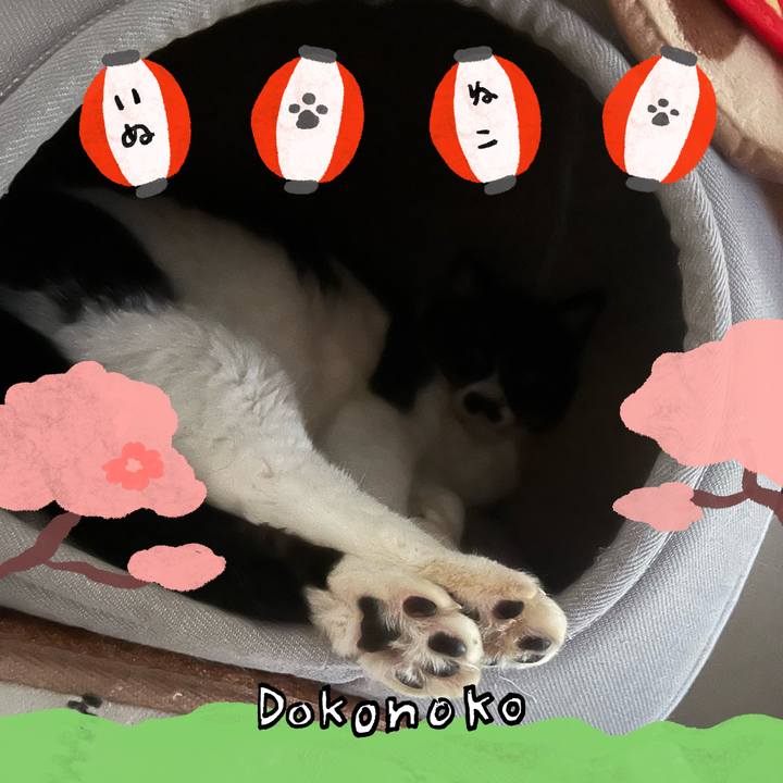 128e4a1d af5e 4524 81ad dc6b5dd0f04a 1712275902837